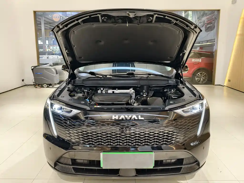 Haval Xiaolong MAX 2023 — фото 26