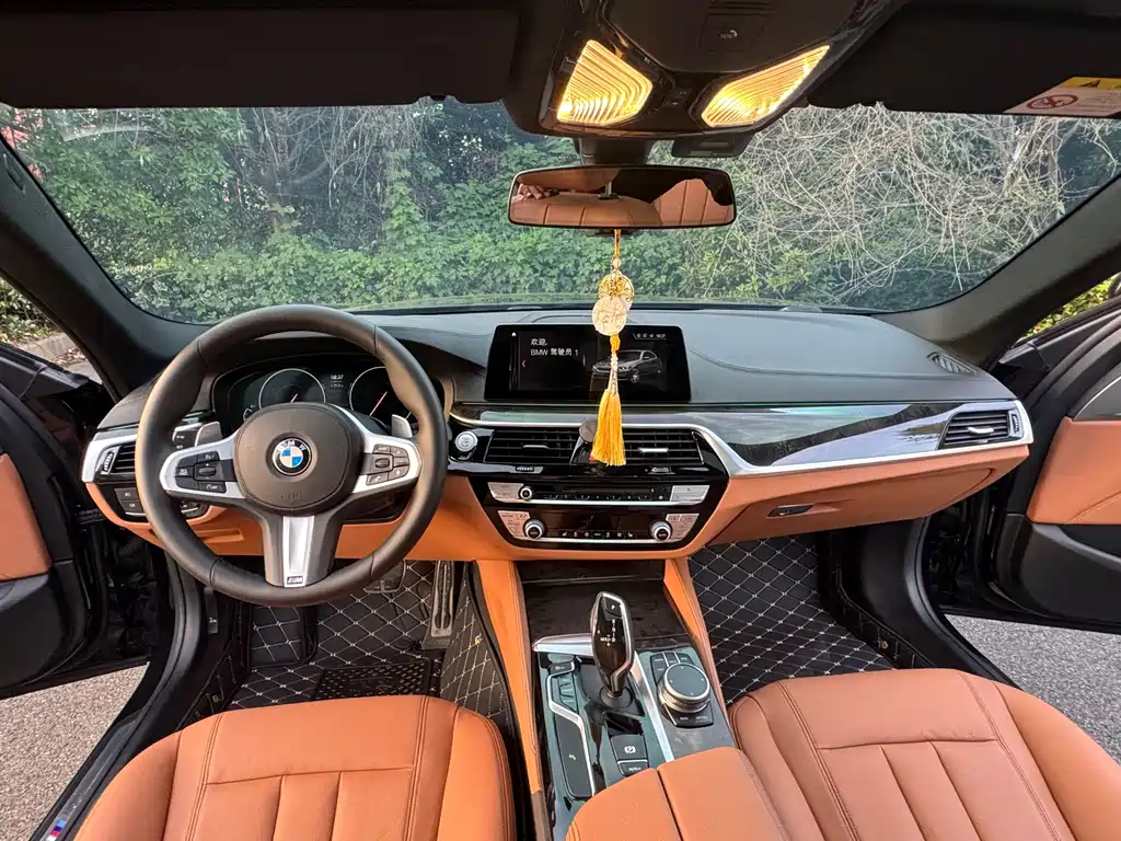 BMW 5 Series 2019 — фото 13