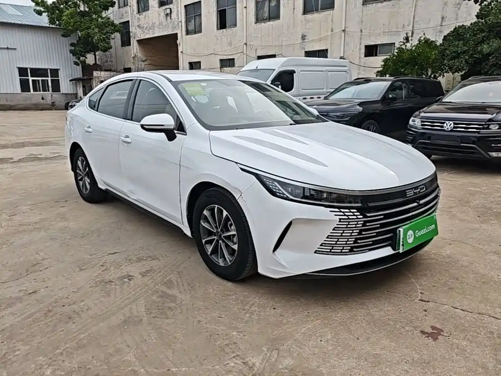 BYD Destroyer 05 2024 — фото 4