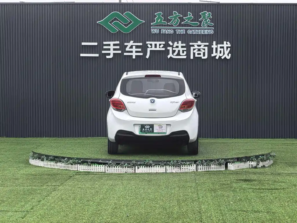 Changan EV 2019 — фото 16