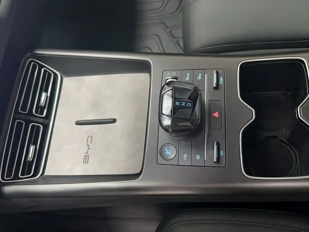 BYD Pro New Energy 2025 — фото 12