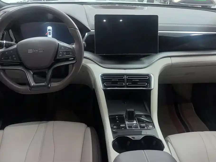 BYD PLUS New Energy 2025 — фото 16