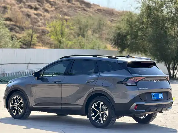 Kia Lion Platinum Expands The Boundary 2025