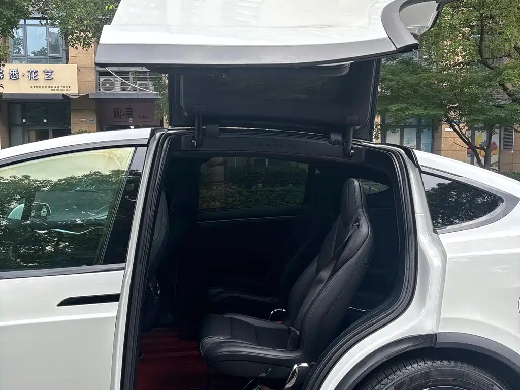 Tesla Model X 2018 — фото 10