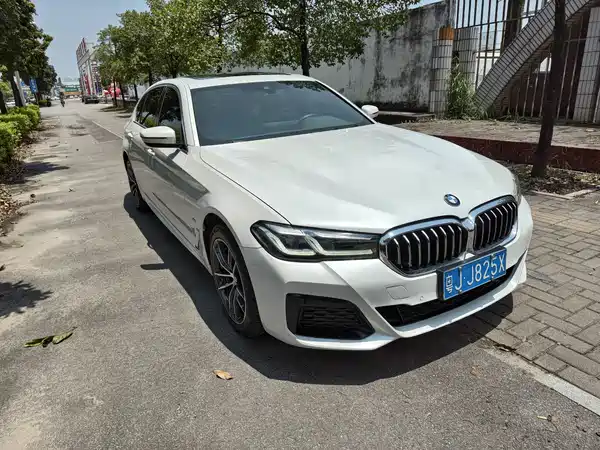 BMW 5 Series 2021