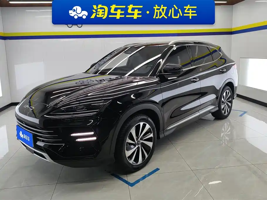 BYD PLUS New Energy 2024 — фото 1