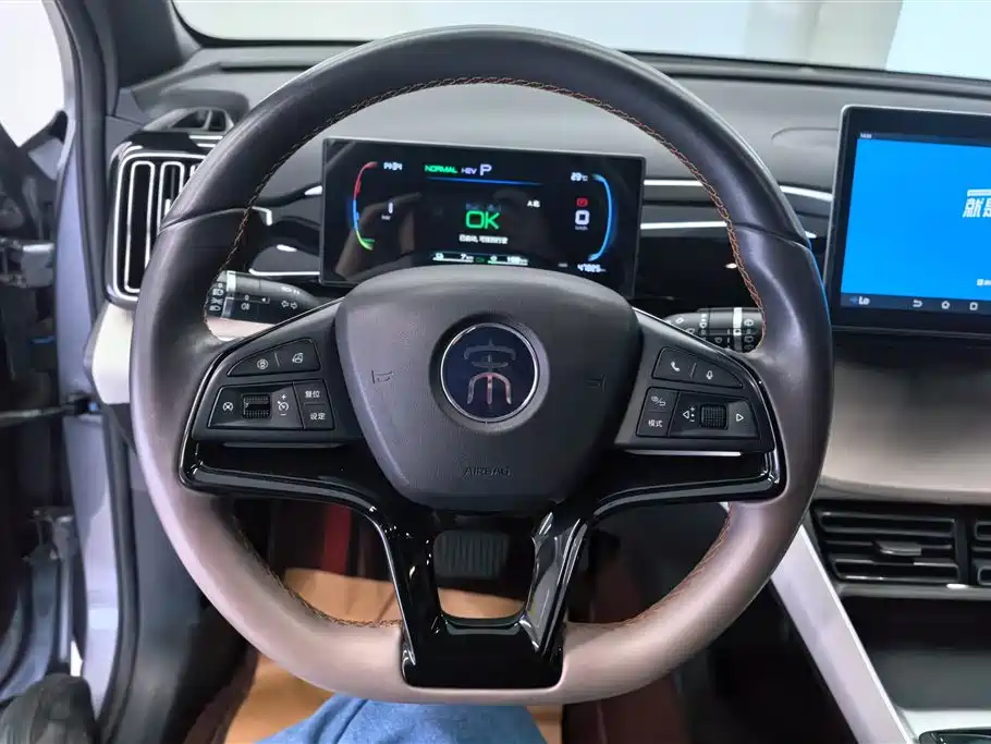 BYD Pro New Energy 2024 — фото 15