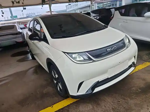 BYD Dolphin 2024