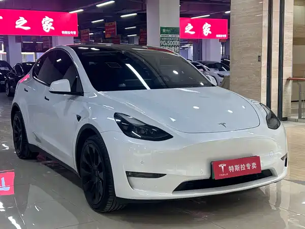 Tesla Model Y 2021