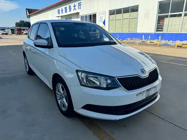 Skoda TECHART 2019