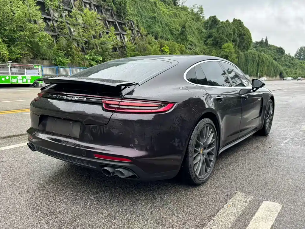 Porsche Panamera Hybrid 2019 — фото 11