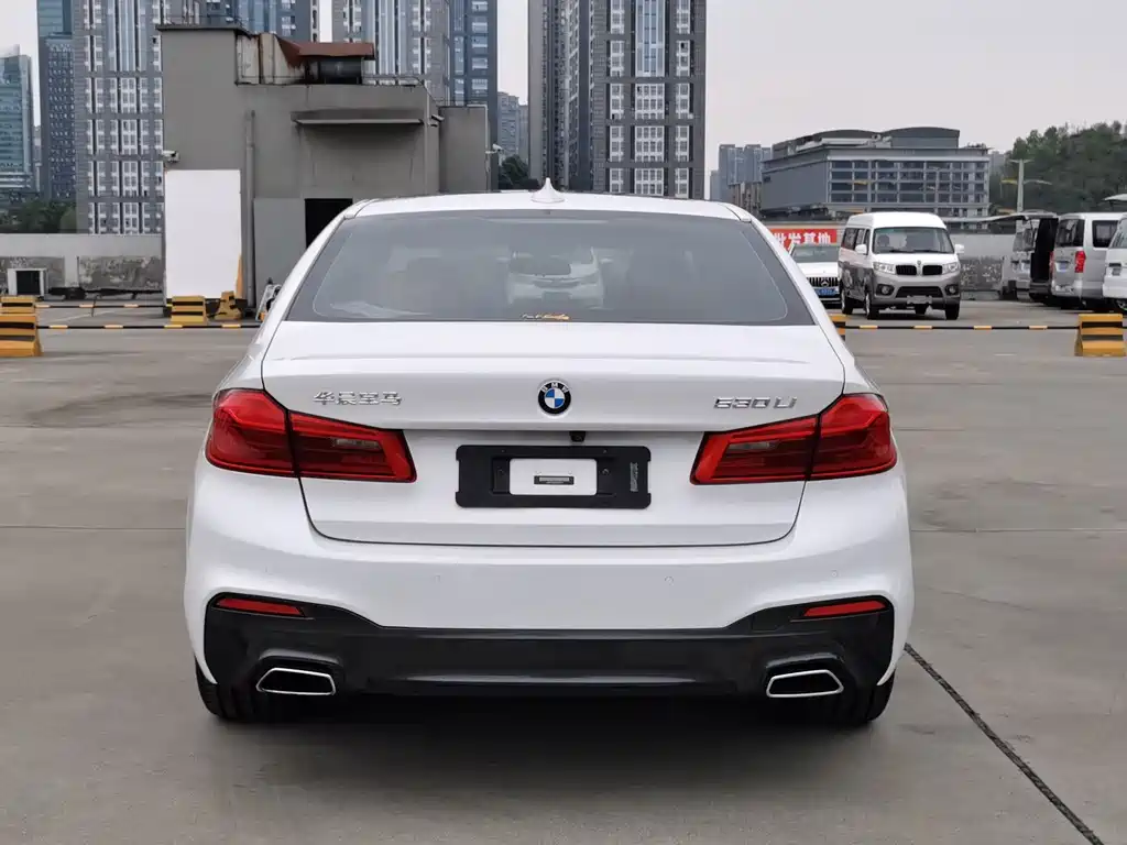 BMW 5 Series 2018 — фото 16