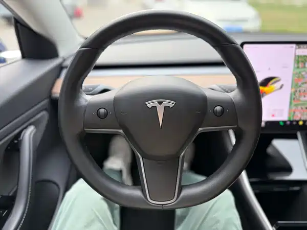 Tesla Model 3 2019