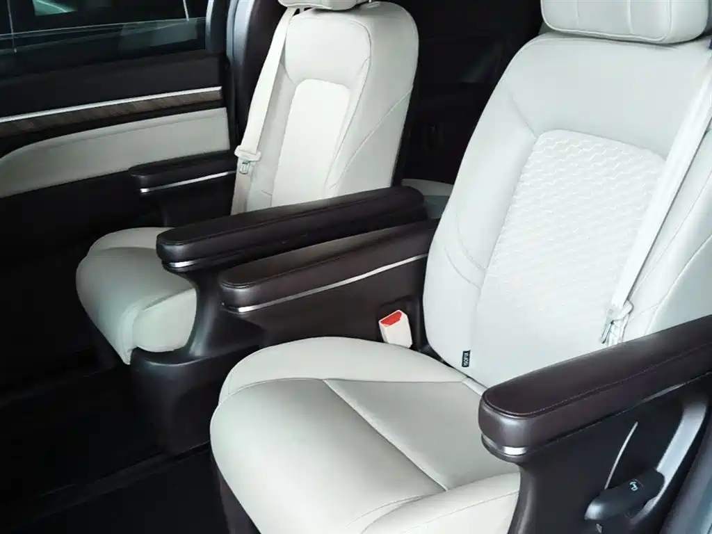 GAC Motor Trumpchi M8 2022 — фото 17