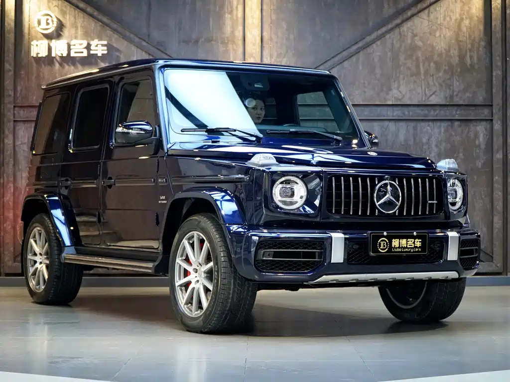 Mercedes-Benz G-Class AMG 2019 — фото 24