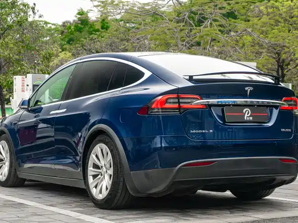 Tesla Model X 2019