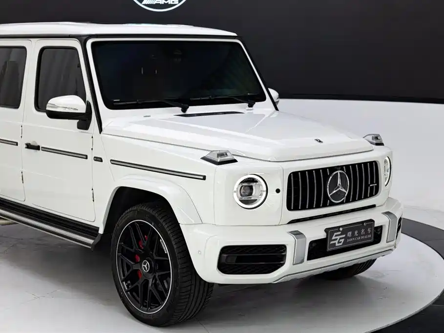 Mercedes-Benz G-Class 2022 — фото 17