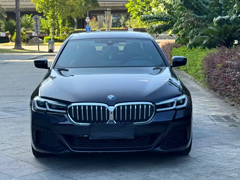 BMW 5 Series 2021