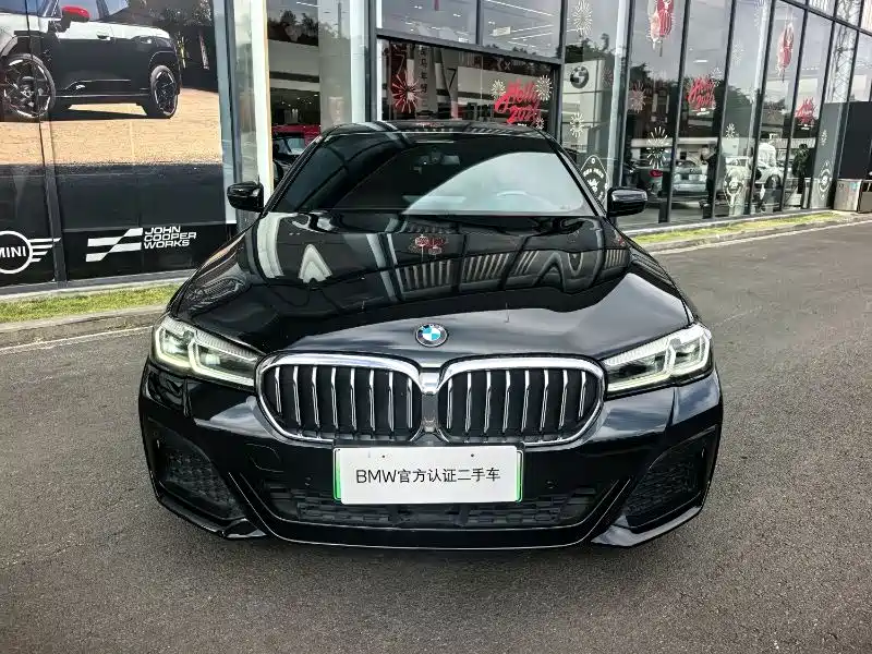 BMW 5 Series New Energy 2020 — фото 2