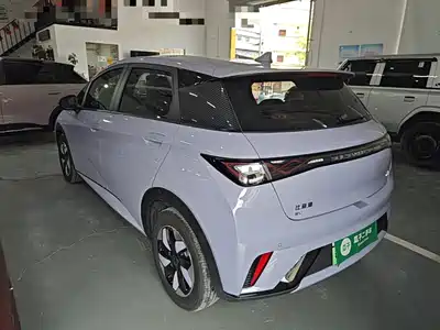 BYD Dolphin 2024