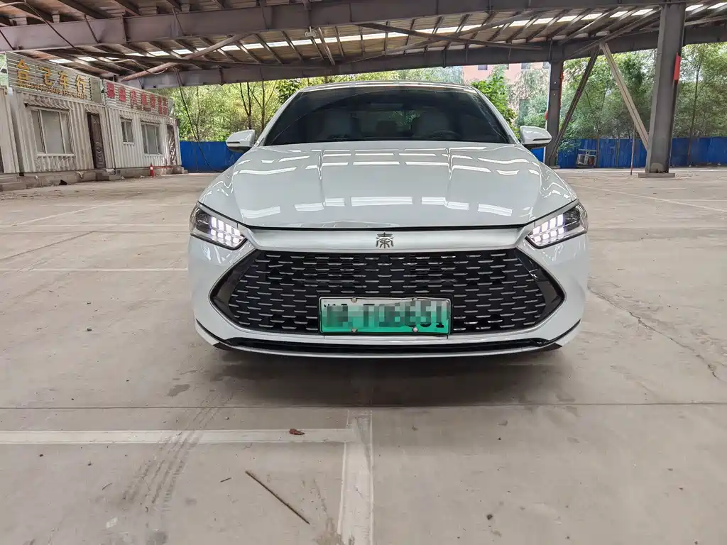 BYD Qin PLUS 2024 — фото 2