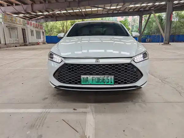 BYD Qin PLUS 2024