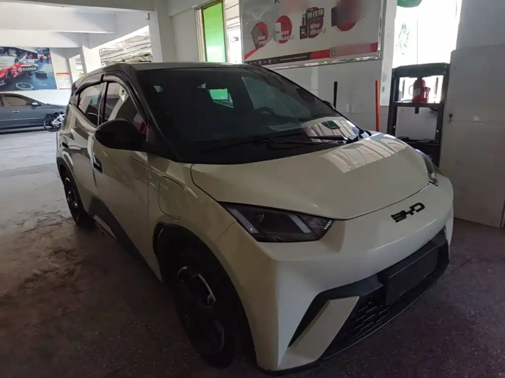 BYD Seagull 2024