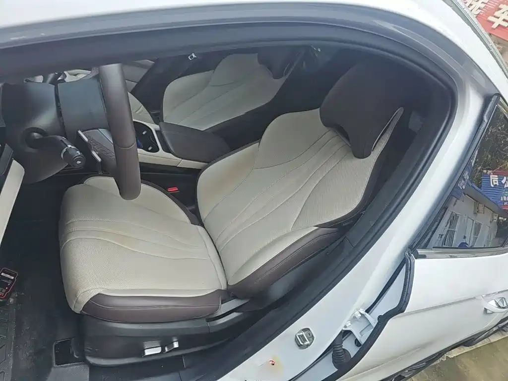 BYD Song PLUS New Energy 2025 — фото 15