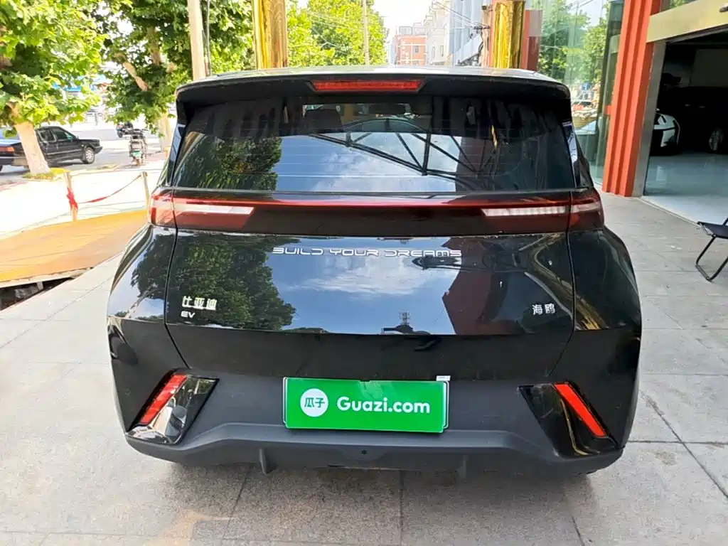 BYD Seagull 2024