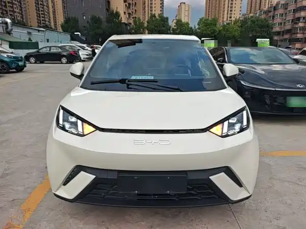 BYD Seagull 2024
