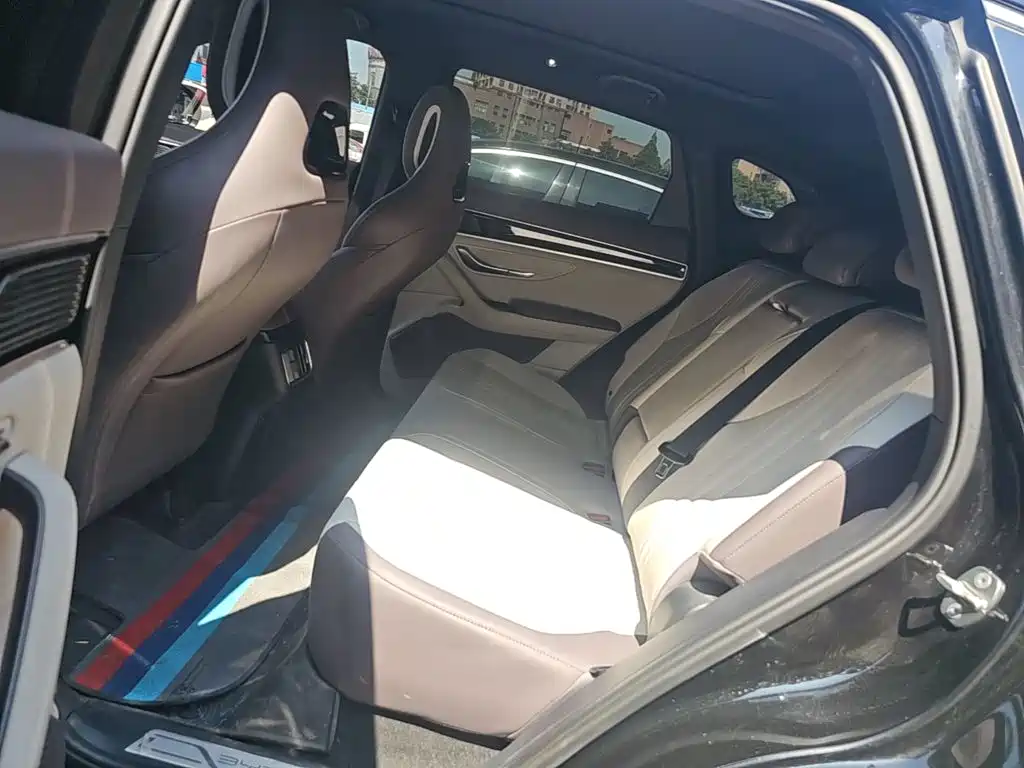 BYD Song PLUS New Energy 2025 — фото 17