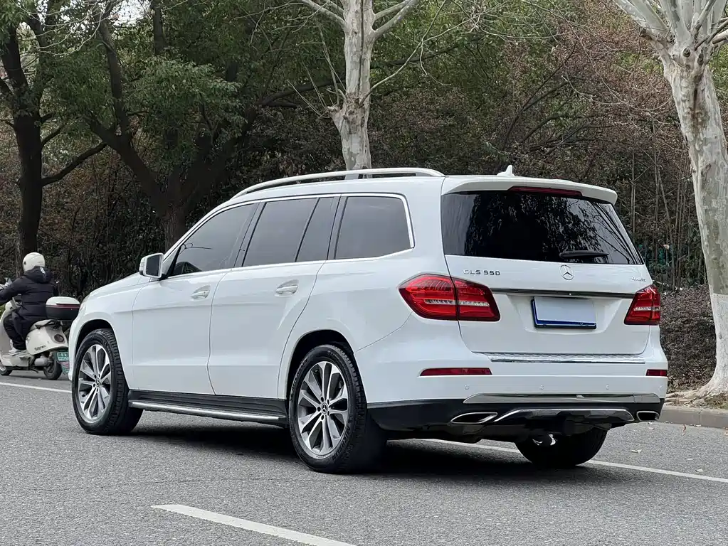 Mercedes-Benz GLS 2017 — фото 18