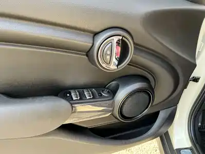 MINI MINI 2022