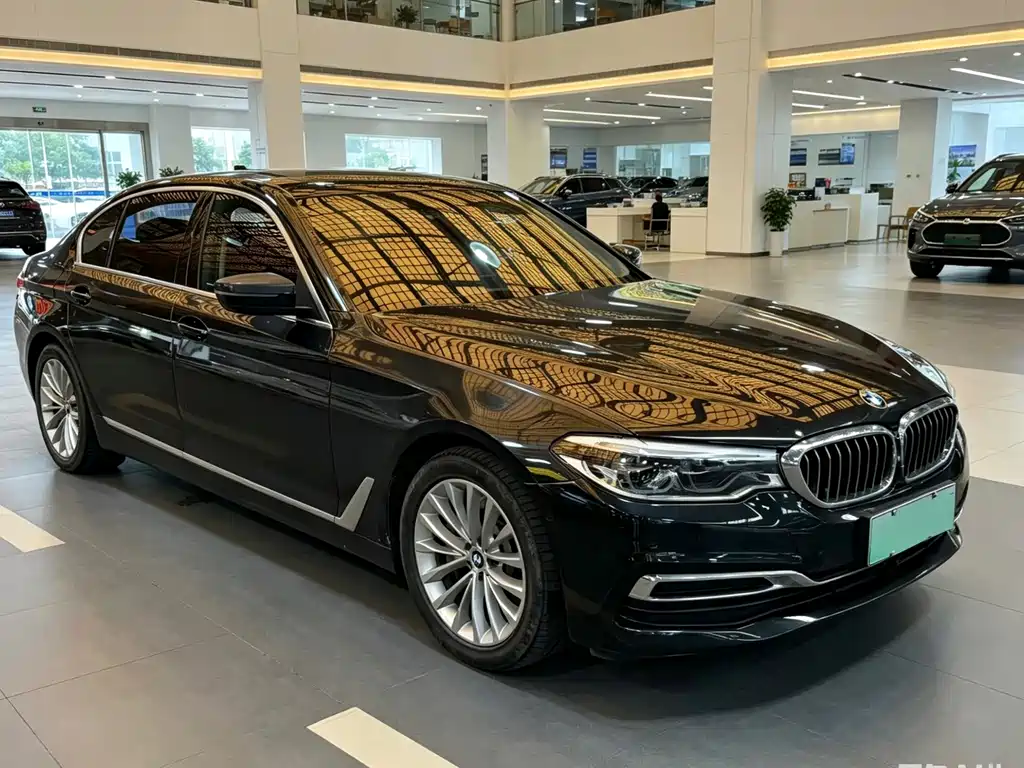 BMW 5 Series New Energy 2020 — фото 2