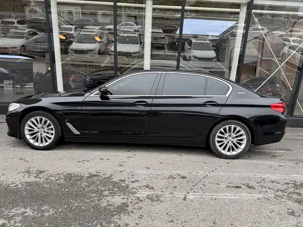 BMW 5 Series New Energy 2019