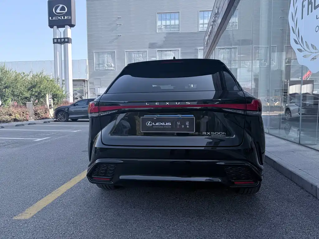Lexus RX 2023 — фото 11