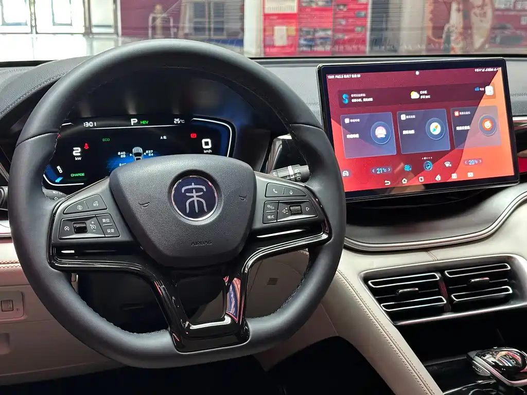 BYD Song PLUS New Energy 2022 — фото 17