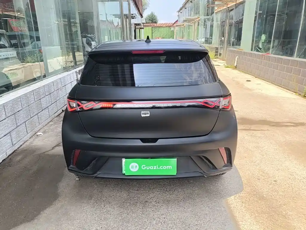 BYD Dolphin 2022