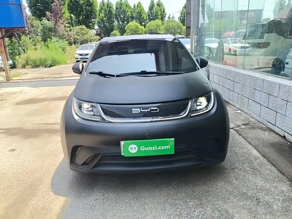 BYD Dolphin 2022