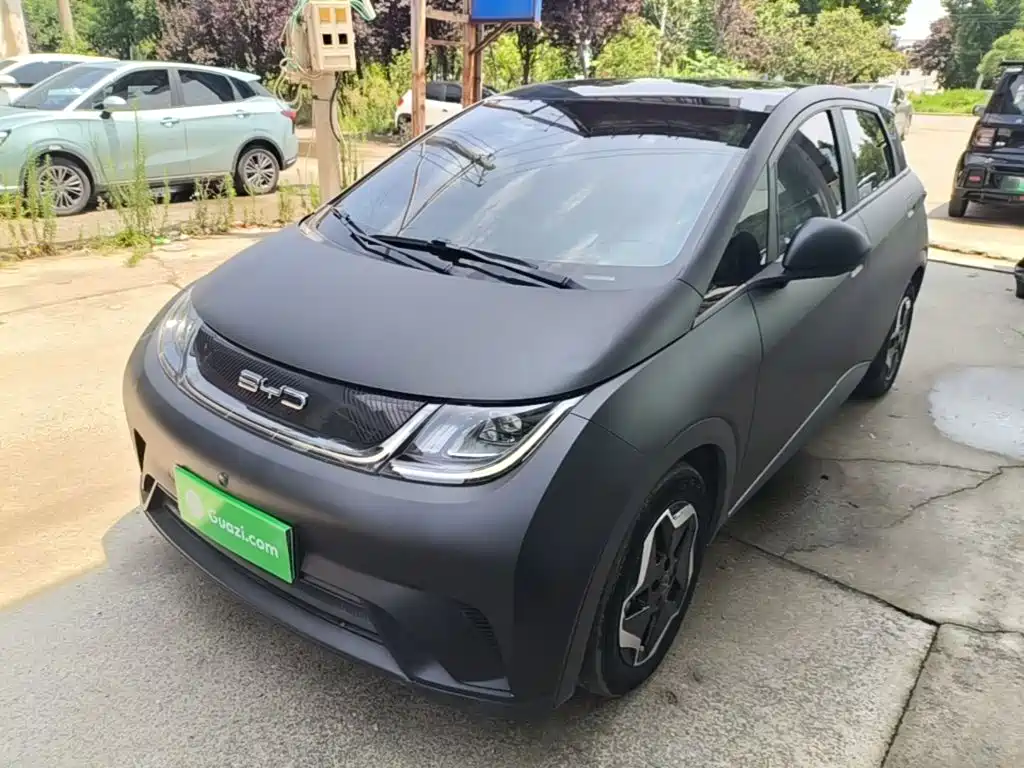 BYD Dolphin 2022