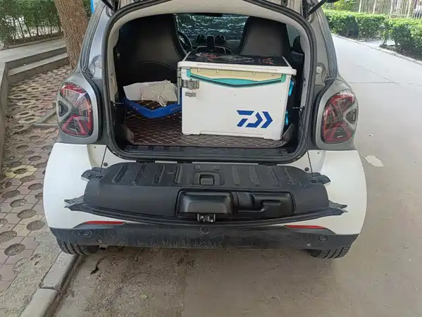smart fortwo 2019