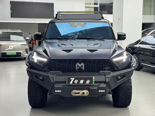 Mengshi 917 2025