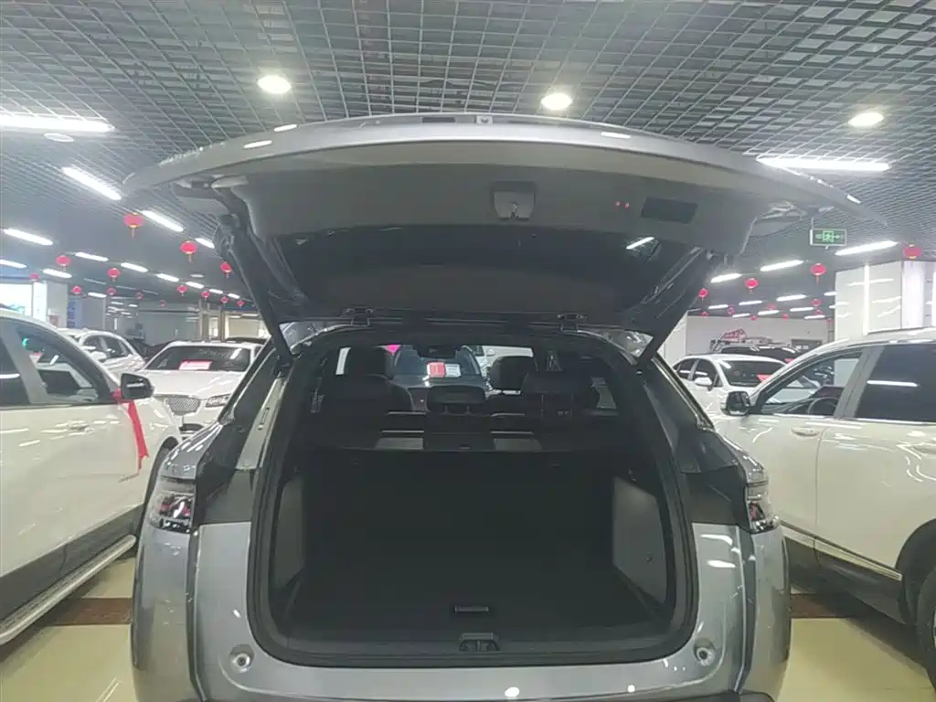 BYD L DM-i 2025 — фото 19
