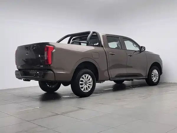 Great Wall Poer 2020