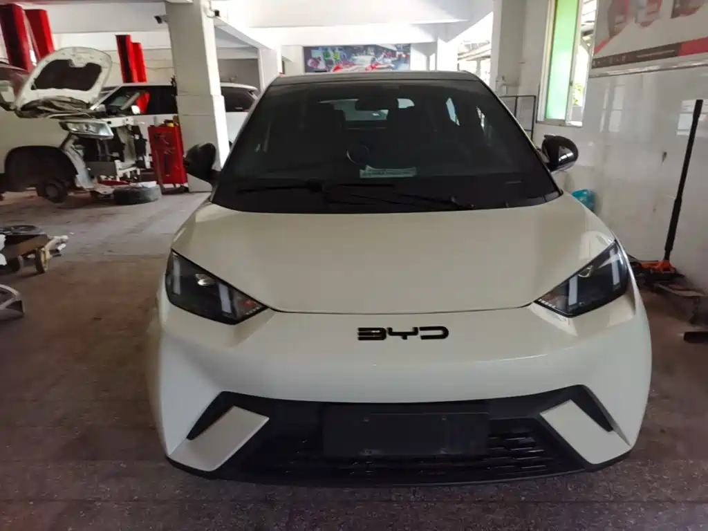 BYD Seagull 2024