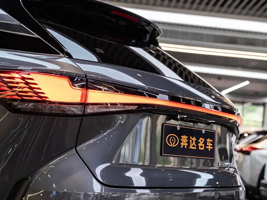 Lexus RX New Energy 2023 — фото 7