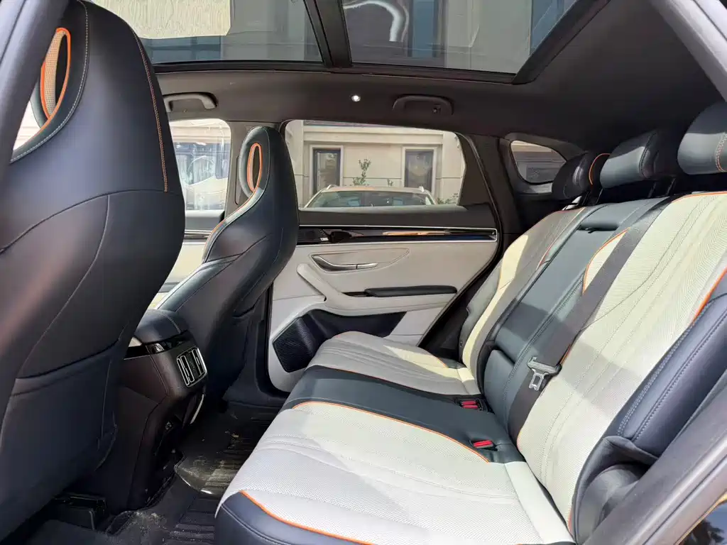 BYD Song PLUS New Energy 2021 — фото 6