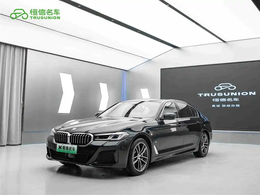 BMW 5 Series New Energy 2021