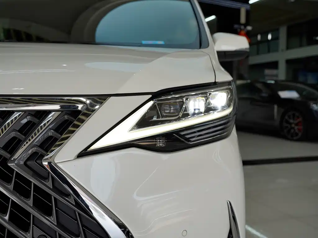Lexus LM 2021 — фото 17