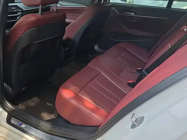 BMW 5 Series New Energy 2021